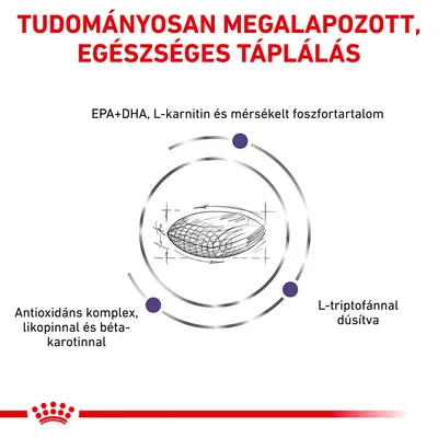 Tudományosan megalapozott, egészséges táplálás. EPA+DHA, L-karnitin és mérsékelt foszfortartalom, antioxidáns komplex likopinnal és béta-karotinnal, L-triptofánnal dúsítva.