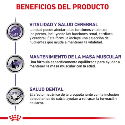 Beneficios del producto: vitalidad y salud cerebral, mantenimiento de la masa muscular, salud dental. Textos explicativos sobre cada beneficio visibles en la imagen. Beneficios del producto: vitalidad y salud cerebral, mantenimiento de la masa muscular, salud dental. Textos explicativos sobre cada beneficio visibles en la imagen.