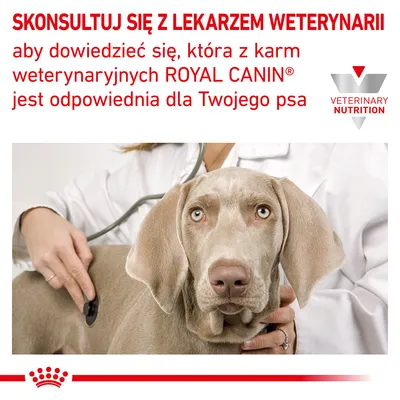 SKONSULTUJ SIĘ Z LEKARZEM WETERYNARII aby dowiedzieć się, która z karm weterynaryjnych ROYAL CANIN jest odpowiednia dla Twojego psa. VETERINARY NUTRITION.
