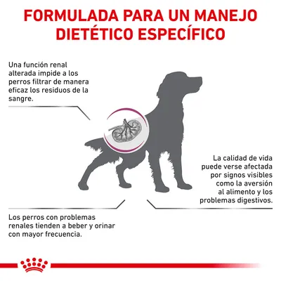 Formulada para un manejo dietético específico. Problemas renales en perros: dificultad para filtrar residuos, aumento de sed y micción, aversión al alimento y problemas digestivos. Formulada para un manejo dietético específico. Problemas renales en perros: dificultad para filtrar residuos, aumento de sed y micción, aversión al alimento y problemas digestivos.