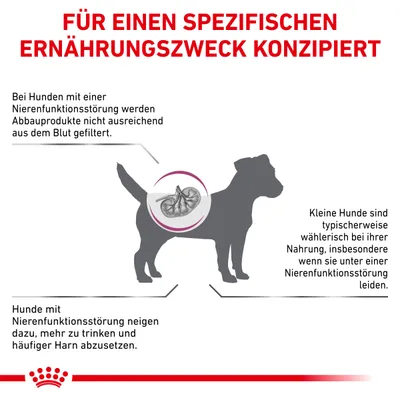 Grafik zeigt Informationen zu Hunden mit Nierenfunktionsstörung: Abbauprodukte werden nicht ausreichend gefiltert, trinken mehr, setzen häufiger Harn ab, sind wählerisch bei Nahrung.