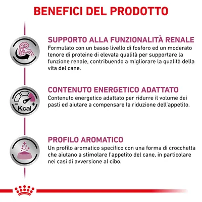 Benefici del prodotto: supporto alla funzionalità renale, contenuto energetico adattato, profilo aromatico specifico per stimolare l’appetito del cane. Testo in italiano.