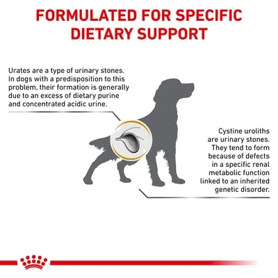 Information about urate and cystine urinary stones, their causes, and genetic links, with a silhouette of a dog and highlighted bladder area. Text: Formulated for specific dietary support.