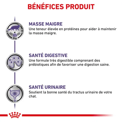 BÉNÉFICES PRODUIT : MASSE MAIGRE, SANTÉ DIGESTIVE, SANTÉ URINAIRE. Détails : protéines pour masse maigre, formule digestible avec prébiotiques, soutien du tractus urinaire du chat.