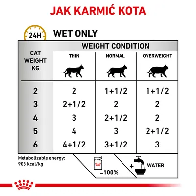 Tabela żywienia kota: ilość mokrej karmy na dobę wg wagi (2–6 kg) i kondycji (chudy, normalny, nadwaga). Energia: 908 kcal/kg. Zalecane podawanie z wodą.