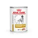 Royal Canin Wet Dog Food + 3 x 230g Royal Canin Dog Treats Free! *