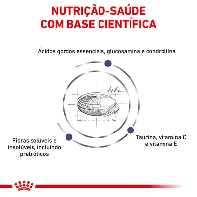NUTRIÇÃO-SAÚDE COM BASE CIENTÍFICA. Ácidos gordos essenciais, glucosamina e condroitina. Fibras solúveis e insolúveis, incluindo prebióticos. Taurina, vitamina C e vitamina E.