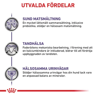 Text: Utvalda fördelar. Sund matsmältning, tandhälsa och hälsosamma urinvägar med beskrivningar om stöd för matsmältning, tänder och urinvägar hos hund.
