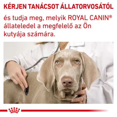 KÉRJEN TANÁCSOT ÁLLATORVOSÁTÓL és tudja meg, melyik ROYAL CANIN® állateledel a megfelelő az Ön kutyája számára.