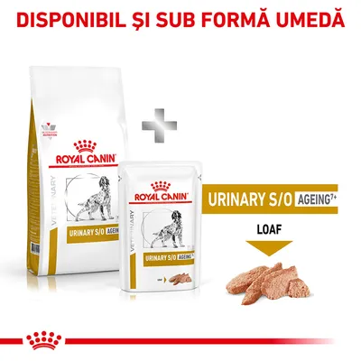 Royal Canin Urinary S/O Ageing 7+ hrană uscată și umedă pentru câini, pachet cu imaginea produsului și text vizibil: 'DISPONIBIL ȘI SUB FORMĂ UMEDĂ', 'LOAF'.