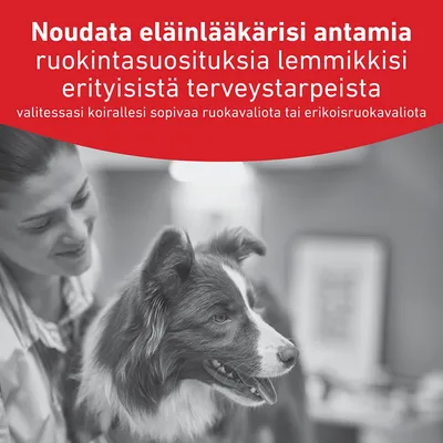 Noudata eläinlääkärisi ruokintasuosituksia, jos lemmikilläsi on erityisiä terveystarpeita, erityisesti valitessasi dieetti- tai erikoisruokaa. Noudata eläinlääkärisi ruokintasuosituksia, jos lemmikilläsi on erityisiä terveystarpeita, erityisesti valitessasi dieetti- tai erikoisruokaa.