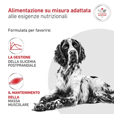 Royal Canin Veterinary Canine Glycobalance Royal Canin Veterinary Canine Glycobalance