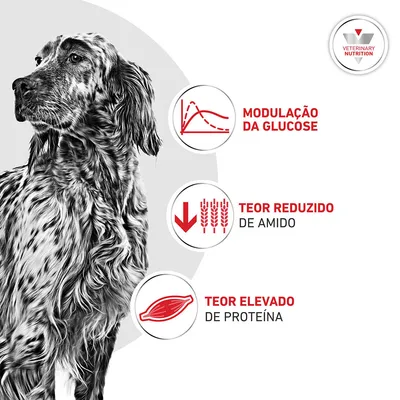 Royal Canin Veterinary Canine Glycobalance Royal Canin Veterinary Canine Glycobalance