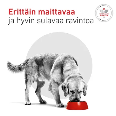 Koira syö punaisesta kupista, Teksti: 'Erittäin maittavaa ja hyvin sulavaa ravintoa', Logo oikeassa yläkulmassa: Veterinary Nutrition. Koira syö punaisesta kupista, Teksti: 'Erittäin maittavaa ja hyvin sulavaa ravintoa', Logo oikeassa yläkulmassa: Veterinary Nutrition.