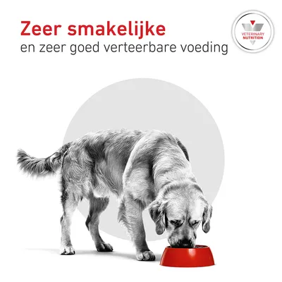 Royal Canin Veterinary Canine Glycobalance