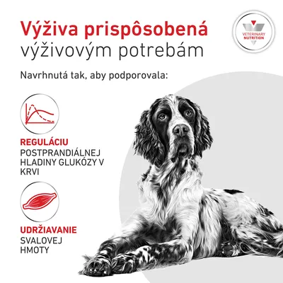 Royal Canin Veterinary Canine Glycobalance Mousse Royal Canin Veterinary Canine Glycobalance Mousse