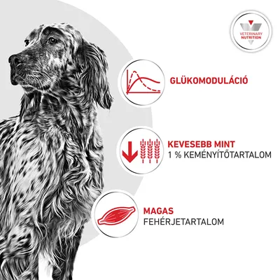 Royal Canin Veterinary Canine Glycobalance Mousse