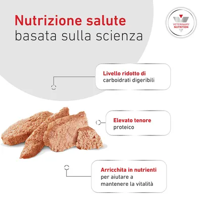 Royal Canin Veterinary Canine Glycobalance Paté Royal Canin Veterinary Canine Glycobalance Paté