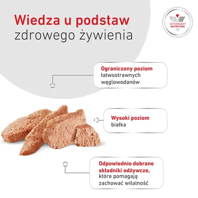 Royal Canin Veterinary Canine Glycobalance Mousse