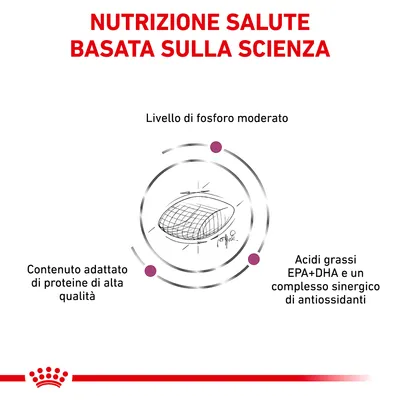 Nutrizione salute basata sulla scienza. Livello di fosforo moderato, contenuto adattato di proteine di alta qualità, acidi grassi EPA+DHA e complesso sinergico di antiossidanti.