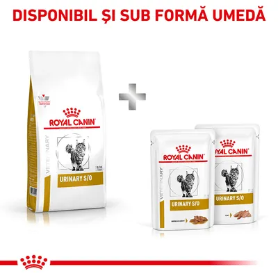 Royal Canin Urinary S/O pentru pisici, ambalaj uscat și două plicuri umede. Text vizibil: „DISPONIBIL ȘI SUB FORMĂ UMEDĂ”.