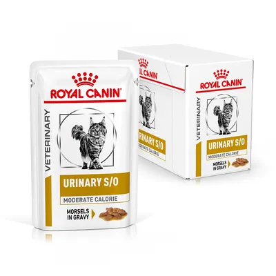 Royal Canin Veterinary URINARY S/O MODERATE CALORIE Morsels in Gravy kattefoder, pose og æske vises med sort-hvid kattegrafik på forsiden.