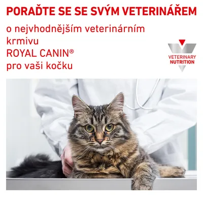 Text v češtine: PORAĎTE SE SE SVÝM VETERINÁŘEM o nejvhodnějším veterinárním krmivu ROYAL CANIN pro vaši kočku. Logo VETERINARY NUTRITION, mačka na vyšetrovacom stole pri veterinárovi.