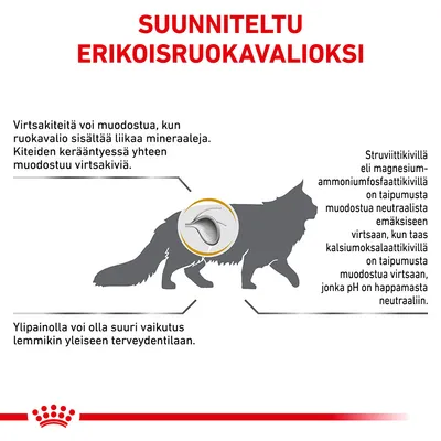 Suunniteltu erikoisruokavalioksi. Teksti: virtsakiteet, struviitti- ja kalsiumoksalaattikivet, ylipainon vaikutus lemmikin terveyteen. Kissan siluetti ja kaavion nuoli.