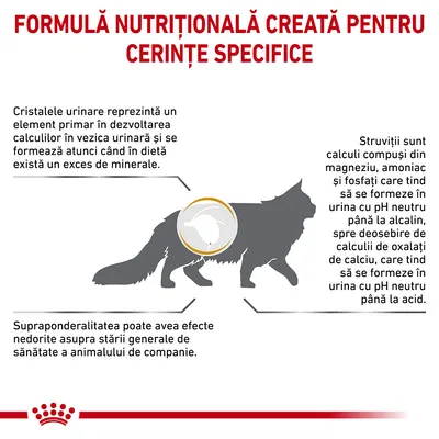 Formulă nutrițională creată pentru cerințe specifice. Informații despre cristale urinare, struviți și efectele supraponderalității la animalele de companie. Imagine cu silueta unei pisici.