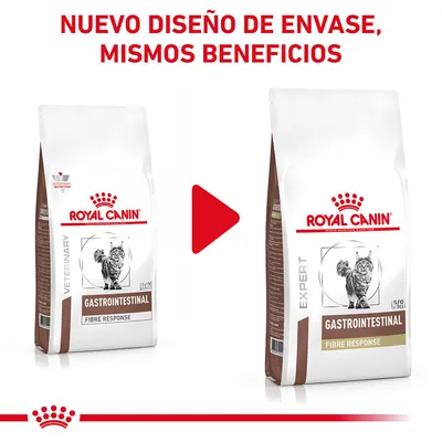 Royal Canin Gastrointestinal Fibre Response para gatos, muestra cambio de diseño de envase: antes 'Veterinary', ahora 'Expert'. Texto: Nuevo diseño de envase, mismos beneficios.