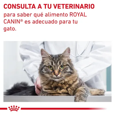 CONSULTA A TU VETERINARIO para saber qué alimento ROYAL CANIN® es adecuado para tu gato.
