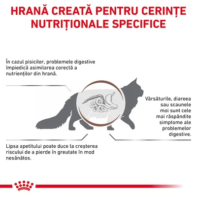HRANĂ CREATĂ PENTRU CERINȚE NUTRIȚIONALE SPECIFICE. Probleme digestive la pisici: împiedică asimilarea nutrienților, pot cauza vărsături, diaree, scaune moi și pierdere în greutate.