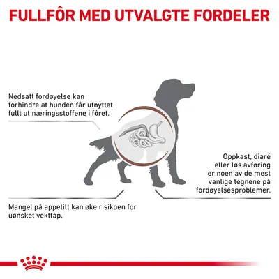 Royal Canin Veterinary Canine Gastrointestinal