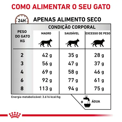 Tabela de alimentação diária para gatos por peso (2–8 kg) e condição corporal: magro, saudável ou excesso de peso. Indica quantidades em gramas de alimento seco e recomenda água.