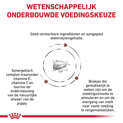 Wetenschappelijk onderbouwde voedingskeuze. Goed verteerbare ingrediënten, aangepast elektrolytengehalte, vitamine E, C en taurine, makkelijk te weken brokjes voor puppy's.