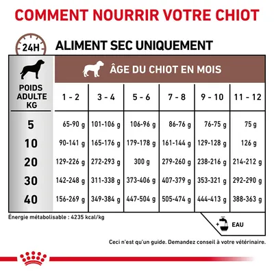 Tableau d’alimentation pour chiot : quantités journalières en grammes selon poids adulte (5–40 kg) et âge (1–12 mois). Exemple : 10 kg, 3–4 mois : 165–176 g. Eau recommandée.