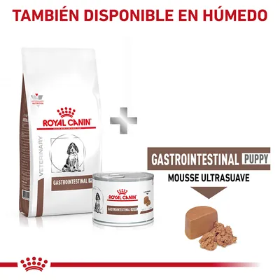 Royal Canin Gastrointestinal Puppy disponible en seco y húmedo. Muestra saco y lata con mousse ultrasuave. Texto visible: 'TAMBIÉN DISPONIBLE EN HÚMEDO', 'MOUSSE ULTRASUAVE'.