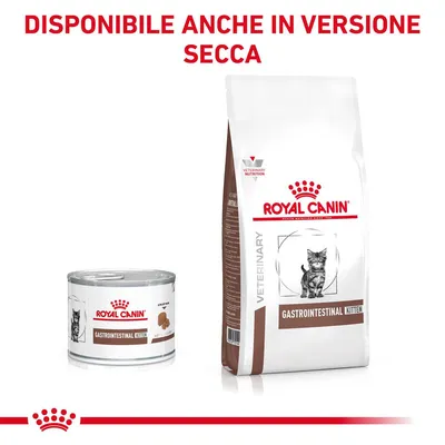 Royal Canin Gastrointestinal Kitten nedves és száraz macskaeledel csomagolás, felül olasz szöveg: DISPONIBILE ANCHE IN VERSIONE SECCA