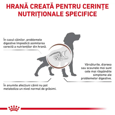 Hrană creată pentru cerințe nutriționale specifice. Probleme digestive la câini: asimilare incorectă a nutrienților, vărsături, diaree, scaune moi, dificultate în metabolizarea grăsimilor.