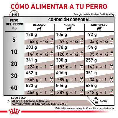 Tabla de alimentación diaria para perros según peso (5–40 kg) y condición corporal: delgado, normal o sobrepeso. Incluye cantidades en gramos y mezcla con paté húmedo. Consulta veterinaria recomendada.
