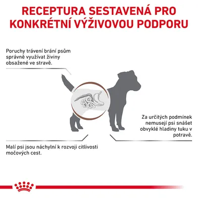 Receptura sestavená pro konkrétní výživovou podporu. Poruchy trávení, citlivost močových cest a nesnášenlivost tuku u psů. Ilustrace psa s vyznačeným trávicím traktem.