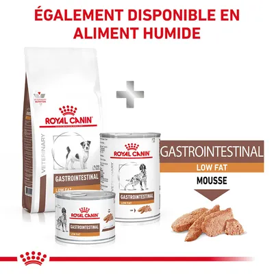 Royal Canin Gastrointestinal Low Fat pour chiens, croquettes et boîtes humides. Texte visible : ÉGALEMENT DISPONIBLE EN ALIMENT HUMIDE, GASTROINTESTINAL LOW FAT MOUSSE.