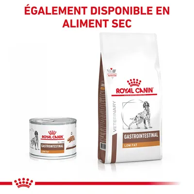 ROYAL CANIN GASTROINTESTINAL LOW FAT, boîte et sac, texte visible : ÉGALEMENT DISPONIBLE EN ALIMENT SEC. Illustration de chien sur les emballages.