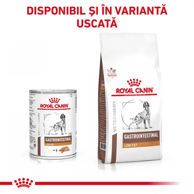 Royal Canin Gastrointestinal Low Fat, conserve și sac hrană uscată pentru câini. Text vizibil: Disponibil și în variantă uscată.