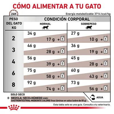 Tabla de alimentación para gatos según peso (2–8 kg) y condición corporal (normal o sobrepeso), con cantidades diarias en gramos de pienso seco y mezcla con húmedo. Incluye recordatorio de agua.