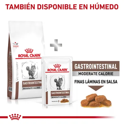 Royal Canin Gastrointestinal Moderate Calorie para gatos, disponible en seco y húmedo. Texto visible: 'Finas láminas en salsa'. Imagen de croquetas húmedas en salsa.