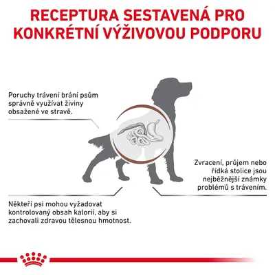 Receptura sestavená pro konkrétní výživovou podporu. Poruchy trávení brání psům využívat živiny, zvracení a průjem jsou běžné příznaky, někteří psi potřebují kontrolu kalorií.