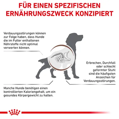 Grafik zeigt Verdauungsprobleme bei Hunden: Symptome wie Erbrechen, Durchfall und schlecht geformter Stuhl. Hinweis auf kontrollierten Kaloriengehalt für gesundes Körpergewicht.