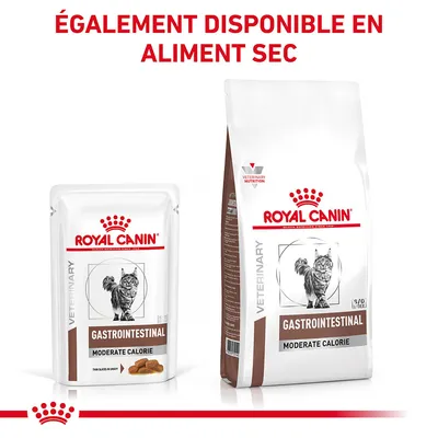 ROYAL CANIN GASTROINTESTINAL MODERATE CALORIE pour chat, sachet et sac visibles. Texte : ÉGALEMENT DISPONIBLE EN ALIMENT SEC.