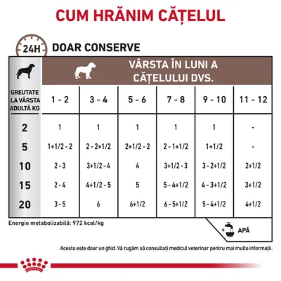 Tabel hrănire cățel: greutate adult 2–20 kg, vârsta 1–12 luni, cantități conserve pe zi. Energie metabolizabilă: 972 kcal/kg. Include recomandare consult veterinar și simbol apă.